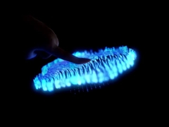 앙 첸 전자 기술 (HK) 회사